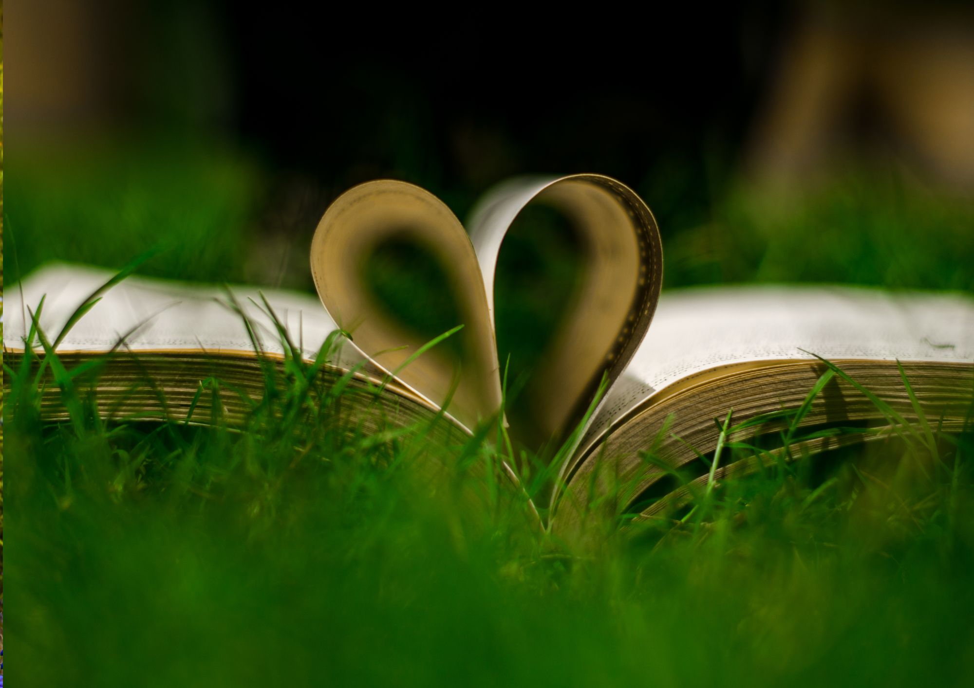 blog-post-featured-image