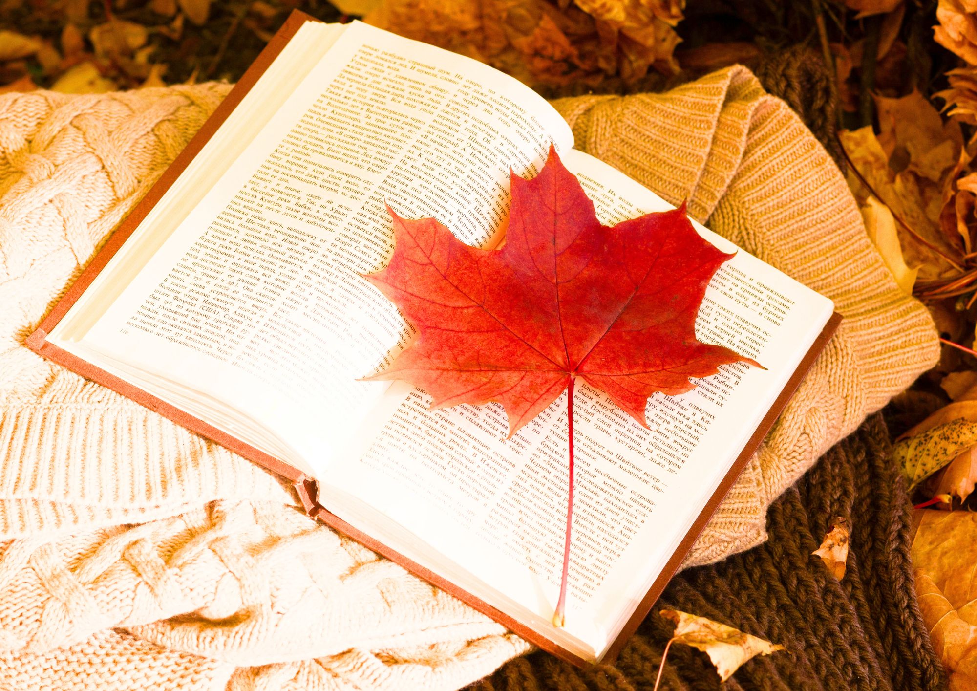 blog-post-featured-image