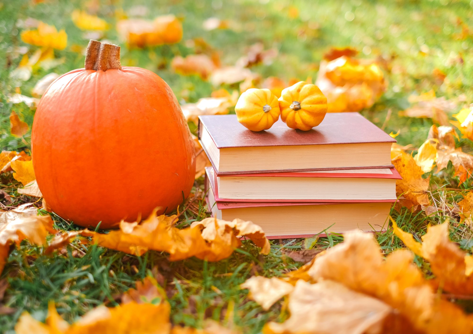 blog-post-featured-image