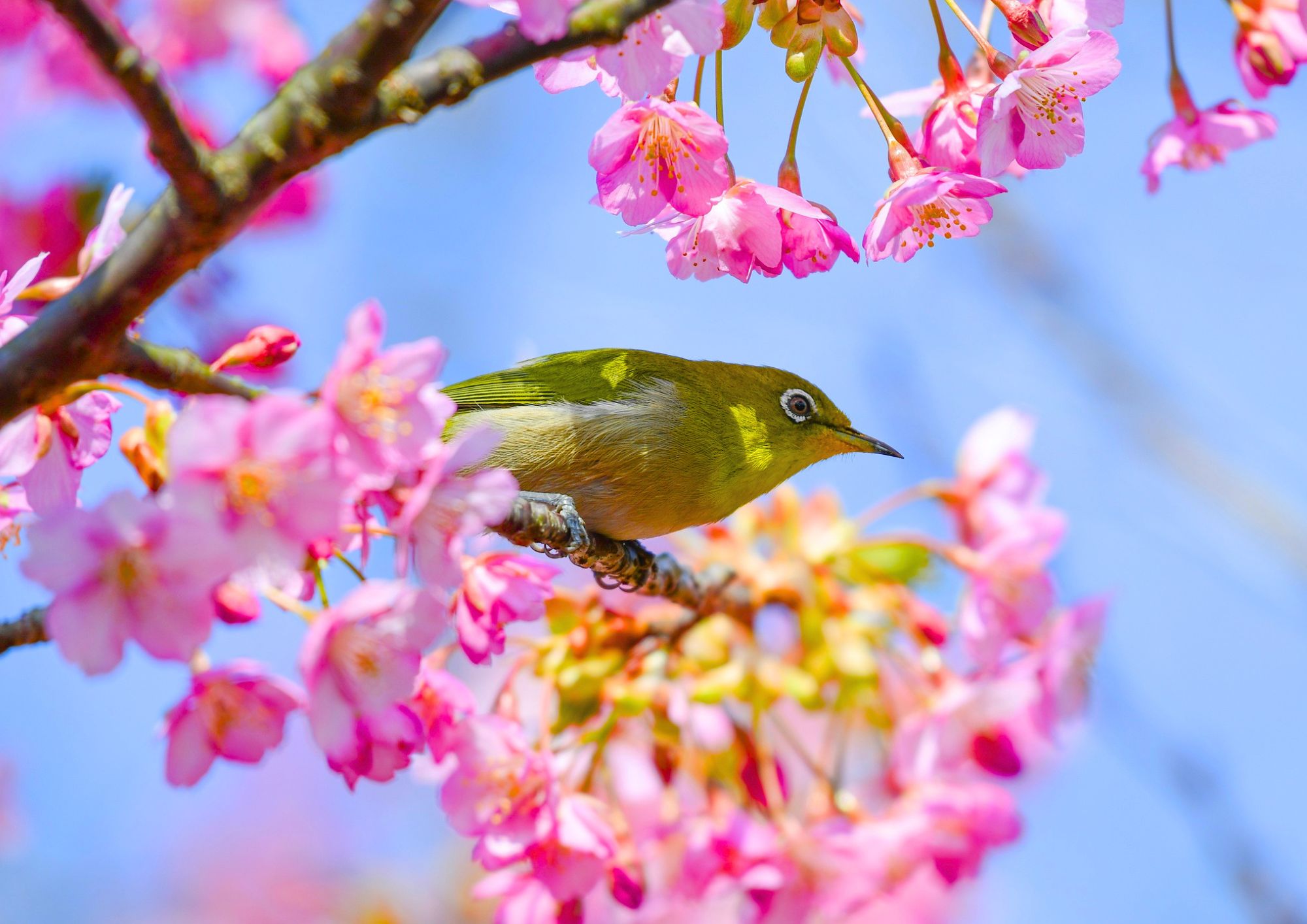 blog-post-featured-image