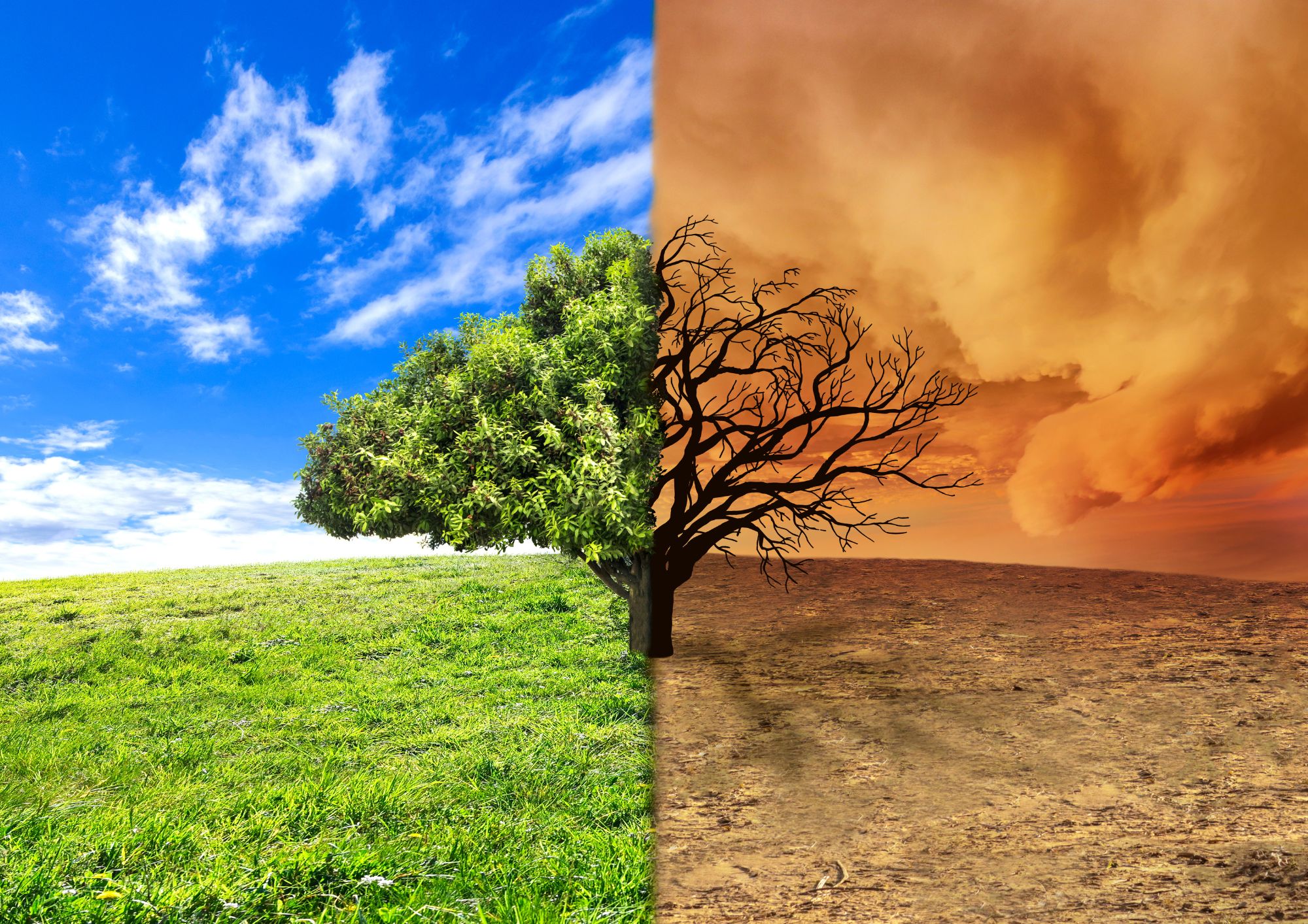 blog-post-featured-image