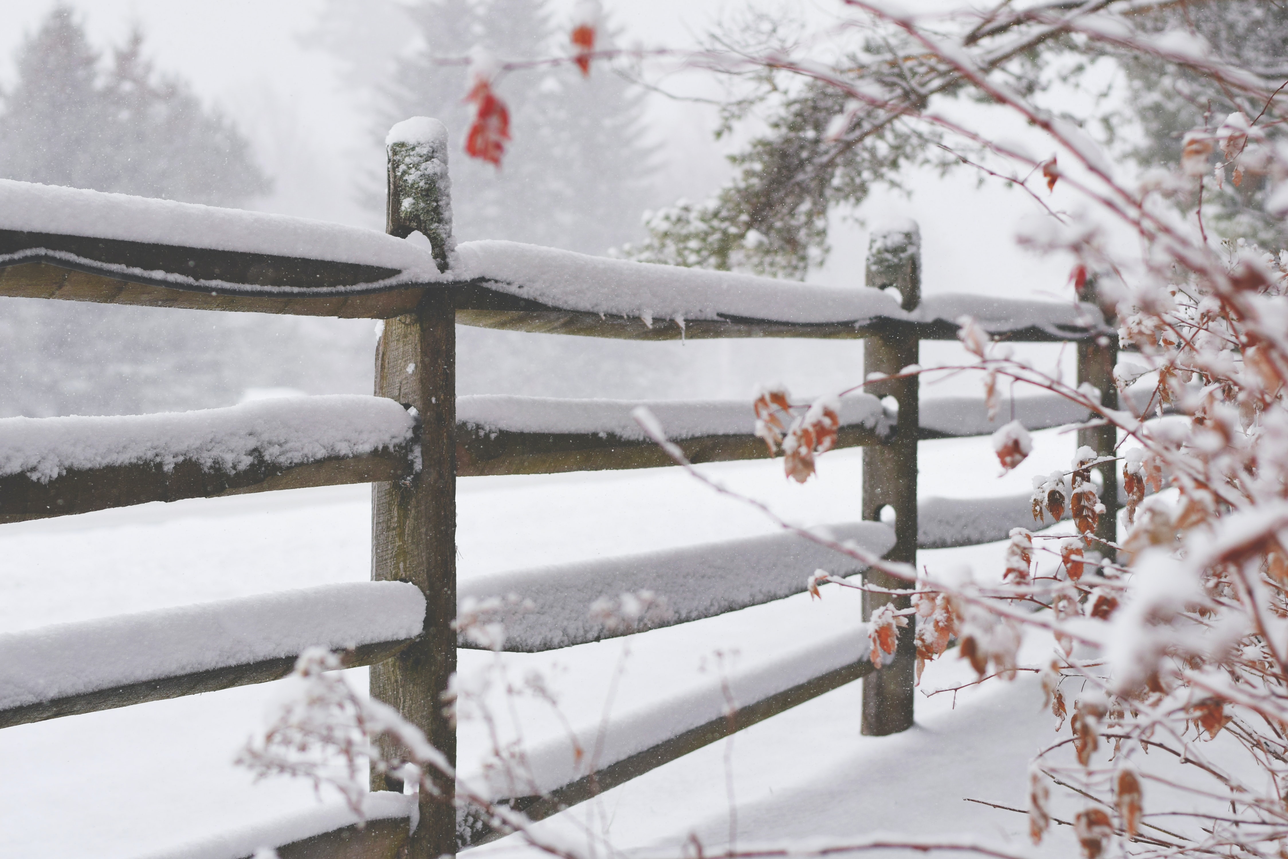 blog-post-featured-image