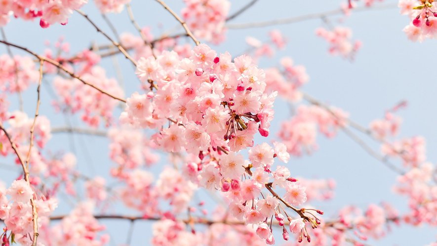 blog-post-featured-image